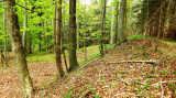 Blick vom inneren Wall über den Graben zum äußeren Wall im Westen